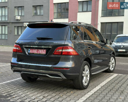 Серый Мерседес М-Класс, объемом двигателя 2.99 л и пробегом 245 тыс. км за 18999 $, фото 16 на Automoto.ua