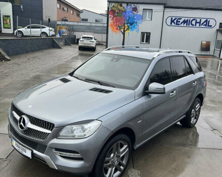 Серый Мерседес М-Класс, объемом двигателя 2.99 л и пробегом 335 тыс. км за 18900 $, фото 38 на Automoto.ua