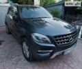 Серый Мерседес М-Класс, объемом двигателя 2.14 л и пробегом 223 тыс. км за 26300 $, фото 3 на Automoto.ua