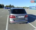 Серый Мерседес М-Класс, объемом двигателя 2.2 л и пробегом 250 тыс. км за 19999 $, фото 8 на Automoto.ua