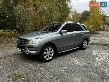 Серый Мерседес М-Класс, объемом двигателя 2.99 л и пробегом 238 тыс. км за 20000 $, фото 1 на Automoto.ua