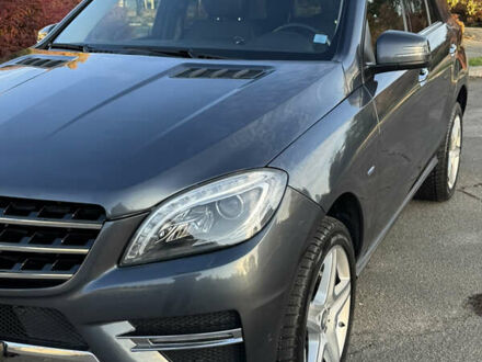 Серый Мерседес М-Класс, объемом двигателя 2.99 л и пробегом 110 тыс. км за 28000 $, фото 1 на Automoto.ua