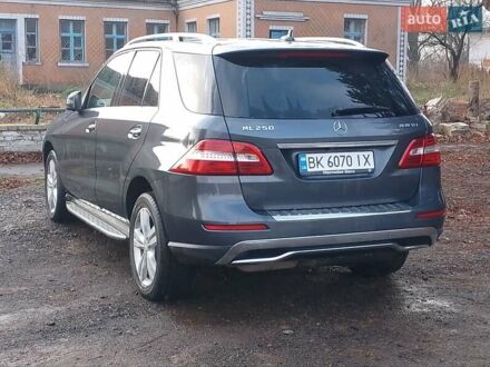 Серый Мерседес М-Класс, объемом двигателя 2.14 л и пробегом 417 тыс. км за 16500 $, фото 1 на Automoto.ua