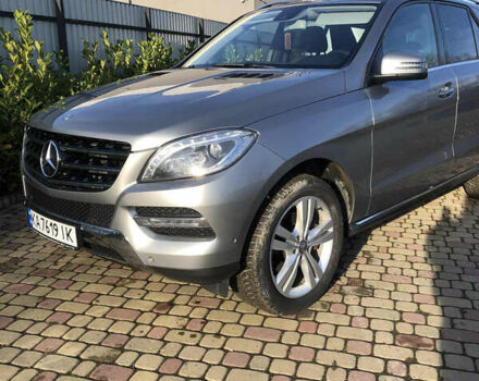 Серый Мерседес М-Класс, объемом двигателя 2.14 л и пробегом 230 тыс. км за 24800 $, фото 1 на Automoto.ua