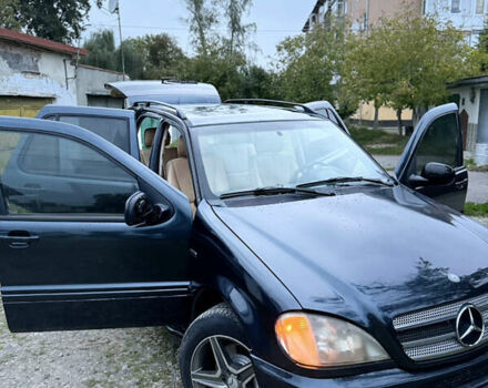 Синий Мерседес М-Класс, объемом двигателя 4.27 л и пробегом 399 тыс. км за 5999 $, фото 15 на Automoto.ua