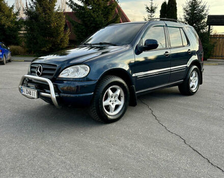 Синий Мерседес М-Класс, объемом двигателя 2.69 л и пробегом 500 тыс. км за 6950 $, фото 6 на Automoto.ua