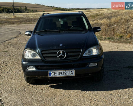 Синий Мерседес М-Класс, объемом двигателя 2.69 л и пробегом 340 тыс. км за 6500 $, фото 15 на Automoto.ua