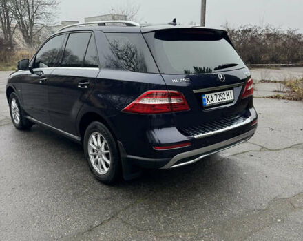 Синий Мерседес М-Класс, объемом двигателя 2.2 л и пробегом 211 тыс. км за 17500 $, фото 8 на Automoto.ua