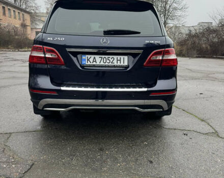 Синий Мерседес М-Класс, объемом двигателя 2.2 л и пробегом 211 тыс. км за 17500 $, фото 5 на Automoto.ua