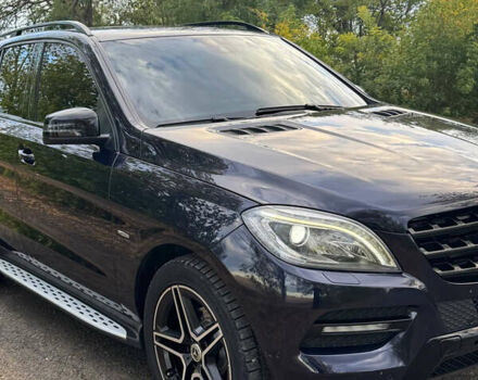 Синий Мерседес М-Класс, объемом двигателя 2.99 л и пробегом 220 тыс. км за 24500 $, фото 18 на Automoto.ua