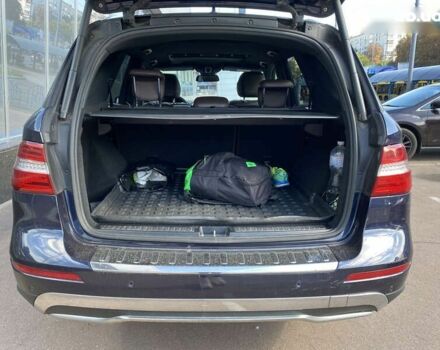 Синий Мерседес М-Класс, объемом двигателя 2.1 л и пробегом 307 тыс. км за 21999 $, фото 25 на Automoto.ua