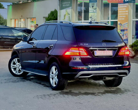 Синий Мерседес М-Класс, объемом двигателя 2.99 л и пробегом 310 тыс. км за 23999 $, фото 11 на Automoto.ua