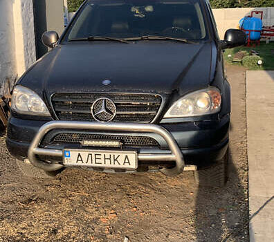 Синий Мерседес М-Класс, объемом двигателя 2.69 л и пробегом 500 тыс. км за 6500 $, фото 1 на Automoto.ua