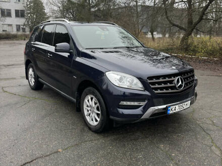 Синий Мерседес М-Класс, объемом двигателя 2.2 л и пробегом 211 тыс. км за 17500 $, фото 1 на Automoto.ua