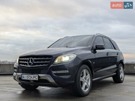 Синий Мерседес М-Класс, объемом двигателя 2.14 л и пробегом 222 тыс. км за 17800 $, фото 1 на Automoto.ua