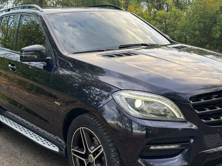 Синий Мерседес М-Класс, объемом двигателя 2.99 л и пробегом 220 тыс. км за 22222 $, фото 1 на Automoto.ua