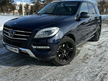 Синий Мерседес М-Класс, объемом двигателя 3.01 л и пробегом 270 тыс. км за 23800 $, фото 1 на Automoto.ua