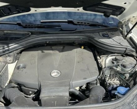 Белый Мерседес МЛ 350, объемом двигателя 3 л и пробегом 204 тыс. км за 19500 $, фото 12 на Automoto.ua