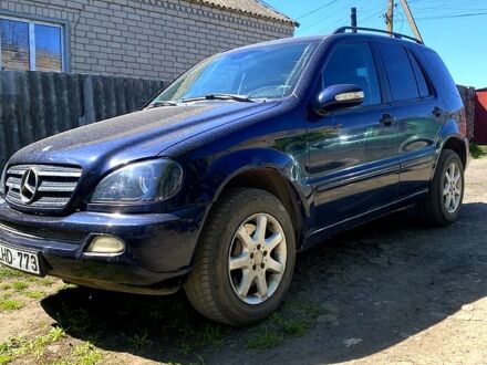 Мерседес ML-Class 2003 у Новом Буге на Automoto.ua Синій Мерседес ML-Class, об'ємом двигуна 2.7 л та пробігом 300 тис. км за 4000 $, фото 1 на Automoto.ua