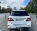 Белый Мерседес МЛ, объемом двигателя 3 л и пробегом 128 тыс. км за 25000 $, фото 13 на Automoto.ua