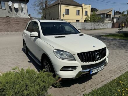 Мерседес МЛ 2012 в Павлограде на Automoto.ua Белый Мерседес МЛ, объемом двигателя 3 л и пробегом 190 тыс. км за 23000 $, фото 1 на Automoto.ua
