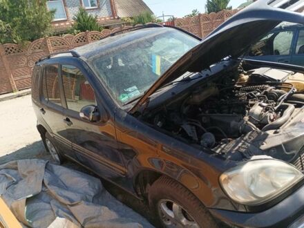 Мерседес МЛ 2003 в Кривом Роге на Automoto.ua Черный Мерседес МЛ, объемом двигателя 3 л и пробегом 300 тыс. км за 2000 $, фото 1 на Automoto.ua