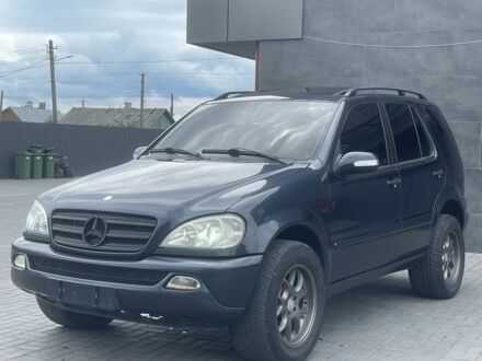 Мерседес МЛ 2002 в Костополе на Automoto.ua Синий Мерседес МЛ, объемом двигателя 2.7 л и пробегом 380 тыс. км за 7300 $, фото 1 на Automoto.ua