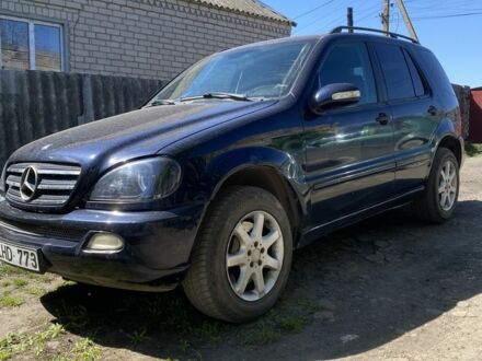 Мерседес МЛ 2003 в Новом Буге на Automoto.ua Синий Мерседес МЛ, объемом двигателя 2.7 л и пробегом 370 тыс. км за 4000 $, фото 1 на Automoto.ua