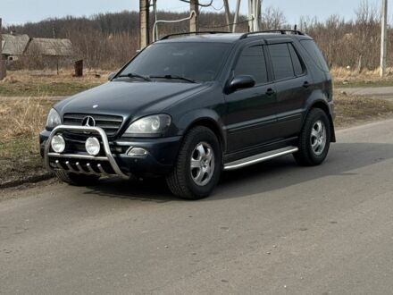 Мерседес МЛ 2005 в Краматорске на Automoto.ua Синий Мерседес МЛ, объемом двигателя 2.7 л и пробегом 255 тыс. км за 6500 $, фото 1 на Automoto.ua