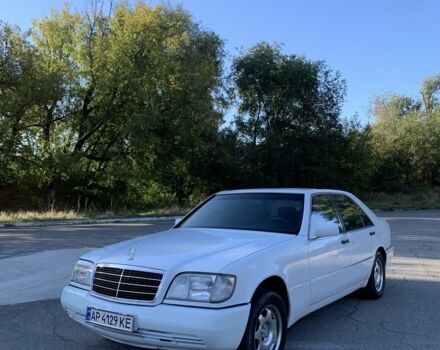 Мерседес С Клас 1994 у Запоріжжя на Automoto.ua Білий Мерседес С Клас, об'ємом двигуна 5 л та пробігом 142 тис. км за 4500 $, фото 1 на Automoto.ua