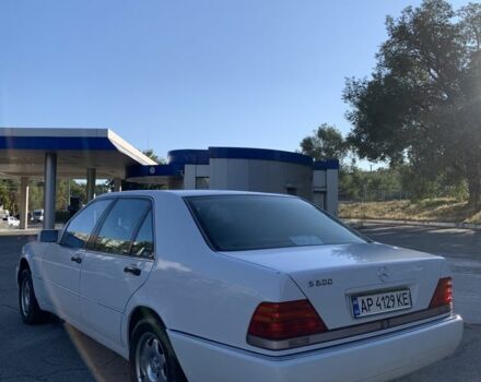 Мерседес С Клас 1994 у Запоріжжя на Automoto.ua Білий Мерседес С Клас, об'ємом двигуна 5 л та пробігом 142 тис. км за 4500 $, фото 4 на Automoto.ua