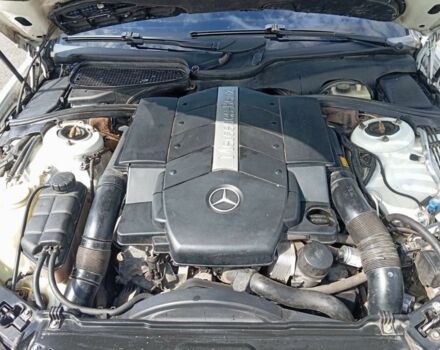 Белый Мерседес С Класс, объемом двигателя 5 л и пробегом 444 тыс. км за 3200 $, фото 2 на Automoto.ua