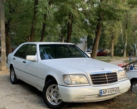Мерседес С Класс 1994 в Запорожье на Automoto.ua Белый Мерседес С Класс, объемом двигателя 5 л и пробегом 142 тыс. км за 4500 $, фото 1 на Automoto.ua