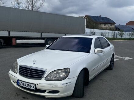 Мерседес С Класс 2002 в Ужгороде на Automoto.ua Белый Мерседес С Класс, объемом двигателя 5 л и пробегом 353 тыс. км за 4400 $, фото 1 на Automoto.ua