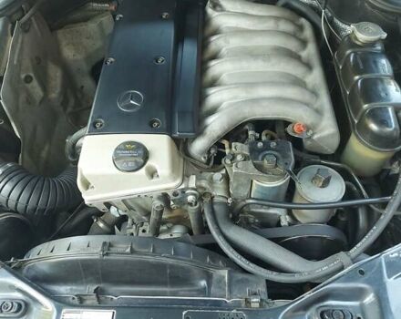 Мерседес С Класс 1996 в Черновцах на Automoto.ua Черный Мерседес С Класс, объемом двигателя 3 л и пробегом 257 тыс. км за 9450 $, фото 17 на Automoto.ua