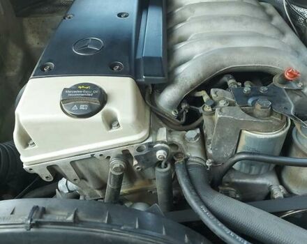 Мерседес С Класс 1996 в Черновцах на Automoto.ua Черный Мерседес С Класс, объемом двигателя 3 л и пробегом 257 тыс. км за 9450 $, фото 15 на Automoto.ua