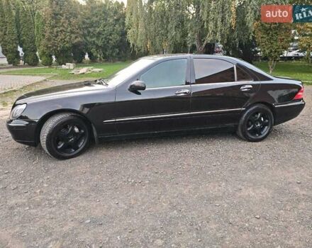 Мерседес С Клас 1998 у Луцьку на Automoto.ua Чорний Мерседес С Клас, об'ємом двигуна 5 л та пробігом 350 тис. км за 5599 $, фото 5 на Automoto.ua