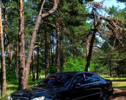 Черный Мерседес С Класс, объемом двигателя 5 л и пробегом 270 тыс. км за 7500 $, фото 1 на Automoto.ua