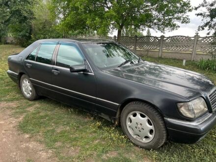 Мерседес С Класс 1995 в Еланце на Automoto.ua Черный Мерседес С Класс, объемом двигателя 3.5 л и пробегом 319 тыс. км за 3200 $, фото 1 на Automoto.ua