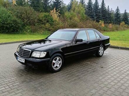 Мерседес С Класс 1995 в Тернополе на Automoto.ua Черный Мерседес С Класс, объемом двигателя 3.2 л и пробегом 388 тыс. км за 3500 $, фото 1 на Automoto.ua