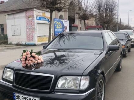 Мерседес С Класс 1997 в Полонном на Automoto.ua Черный Мерседес С Класс, объемом двигателя 3 л и пробегом 350 тыс. км за 10000 $, фото 1 на Automoto.ua