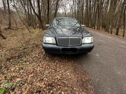Мерседес С Класс 1998 в Черкассах на Automoto.ua Черный Мерседес С Класс, объемом двигателя 3 л и пробегом 329 тыс. км за 6500 $, фото 1 на Automoto.ua