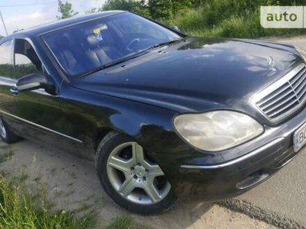 Мерседес С Класс 1999 в Львове на Automoto.ua Черный Мерседес С Класс, объемом двигателя 4.97 л и пробегом 300 тыс. км за 4300 $, фото 1 на Automoto.ua