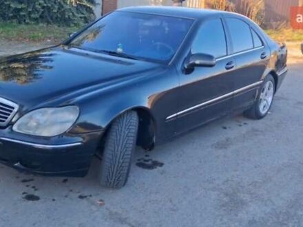 Черный Мерседес С Класс, объемом двигателя 4.97 л и пробегом 296 тыс. км за 4600 $, фото 1 на Automoto.ua