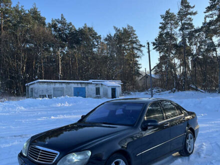 Чорний Мерседес С Клас, об'ємом двигуна 5 л та пробігом 300 тис. км за 3500 $, фото 1 на Automoto.ua
