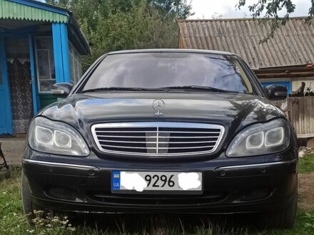 Мерседес С Класс 2000 в Нежине на Automoto.ua Черный Мерседес С Класс, объемом двигателя 5 л и пробегом 470 тыс. км за 3900 $, фото 1 на Automoto.ua
