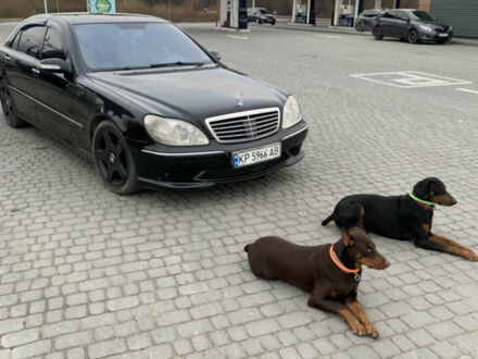 Черный Мерседес С Класс, объемом двигателя 4.97 л и пробегом 340 тыс. км за 6499 $, фото 1 на Automoto.ua