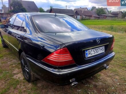 Чорний Мерседес С Клас, об'ємом двигуна 5 л та пробігом 300 тис. км за 6000 $, фото 1 на Automoto.ua