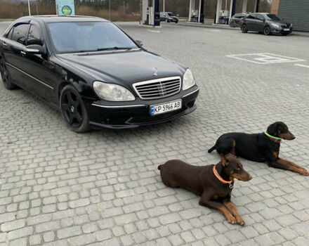 Черный Мерседес С Класс, объемом двигателя 4.97 л и пробегом 340 тыс. км за 7000 $, фото 1 на Automoto.ua