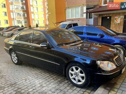 Мерседес С Класс 2004 в Тернополе на Automoto.ua Черный Мерседес С Класс, объемом двигателя 5 л и пробегом 347 тыс. км за 4500 $, фото 1 на Automoto.ua